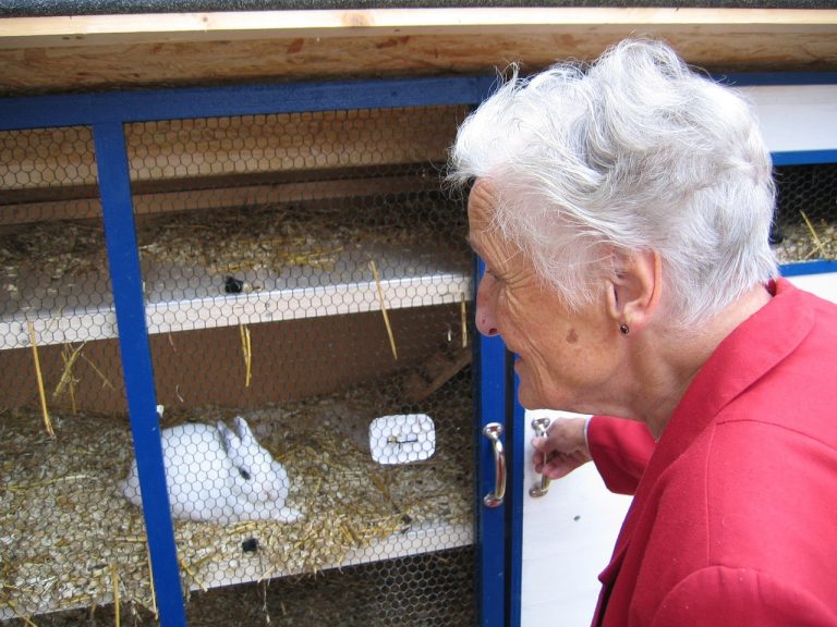 How to build a perfect rabbit home.