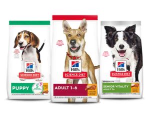 Hill's Science Diet Dry Dog Food
