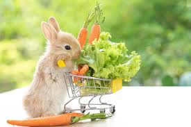 science-selective-rabbit-food
